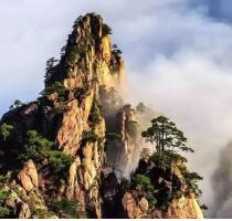 昆山海達(dá)儀器團(tuán)隊(duì)活動(dòng)——“黃山”游記